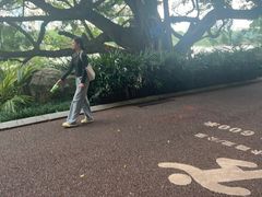 -南宁南湖公园
