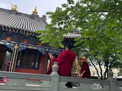 -护国法轮寺