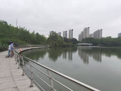 -九里河湿地公园