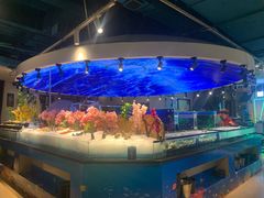 -海天盛宴潮汕蒸汽海鲜高端自助形象店