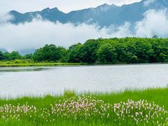-大九湖