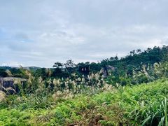 -大罗山风景区