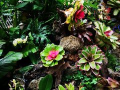 -北京植物园-展览温室