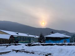 -横道河子东北虎林园