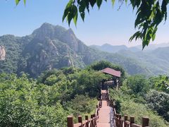 -大岭沟猕猴桃谷风景区