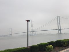 -海鸥岛