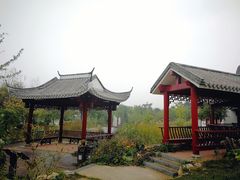 -武清南湖绿博园