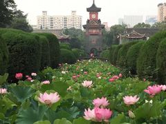 -四川大学(华西校区)