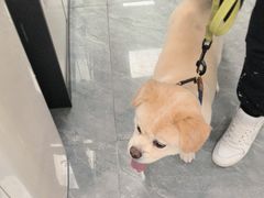 -美联众合爱康动物医院•复杂内科•肿瘤科•牙科•腔镜诊疗中心