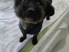 -宠福鑫康馨动物医院·骨科·眼科