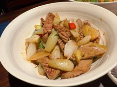 -MR鹅外
