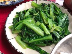 油麦菜-生态苑农庄(十里画廊遇龙河店)