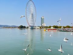 -蠡湖大桥公园