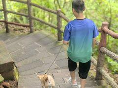 -赤水丹霞旅游区·大瀑布