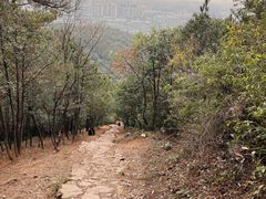 -树山生态村