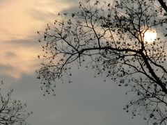 -上海滨江森林公园