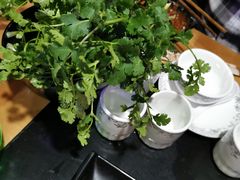 -果松木炭酸菜铜火锅·外婆参鸡汤