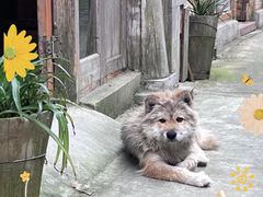 -肇兴侗寨