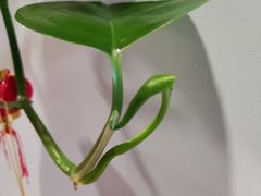 -佰推·肩颈腰·推拿理疗(湾悦城店)