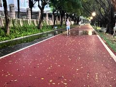-南宁南湖公园