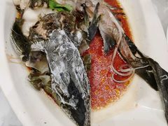 鲟鱼-T11生鲜超市(朝阳公园店)