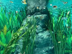 -上海海洋水族馆