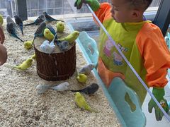 -怪兽屋·羊驼·猫咖·狗咖(俊华广场店)