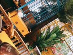 -椰贝原味椰子鸡(江南万达店)