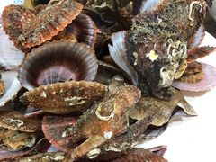 -抹直口特色菜馆(一店)