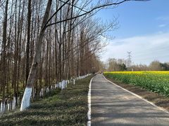 -桤木河湿地公园