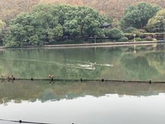 -杭州香格里拉饭店