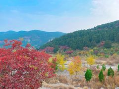 -龙洞风景区-藏龙涧