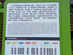 -武汉动物园