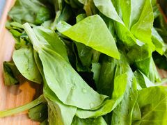 有机小白菜-烹然四季椰子鸡火锅(团结湖总店)