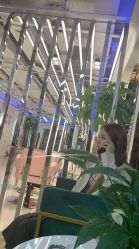 -BULB STUDIO 巴柏明星发型工作室