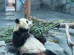 -秦皇岛野生动物园