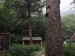 -北京上方山国家森林公园