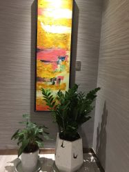 -苑苑vbeauty科技美容SPA