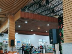 -兴隆槟榔园休闲农庄