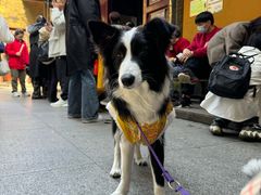 -普陀山慧济禅寺
