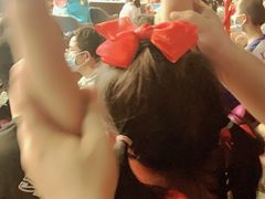 -广州长隆国际大马戏