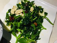 呛拌荠荠菜-万和源炝锅城·活鱼现炝(文艺北路店)