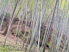 -杭州黄龙洞