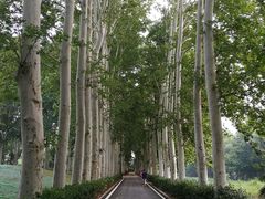 -河南省黄河迎宾馆