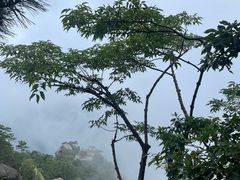 -庐山风景名胜区