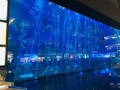 -成都浩海立方海洋公园