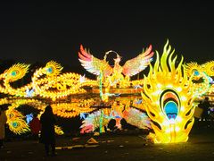 -武汉园博园(武汉自然博物馆)