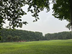 -河南省黄河迎宾馆