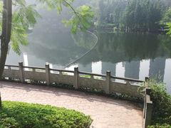-重庆彩云湖湿地公园