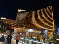 -拉斯维加斯永利酒店